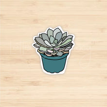 Load image into Gallery viewer, Succulent Sticker