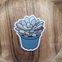 Load image into Gallery viewer, Succulent Sticker