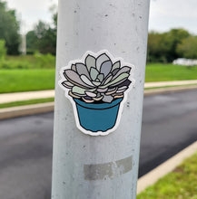 Load image into Gallery viewer, Succulent Sticker