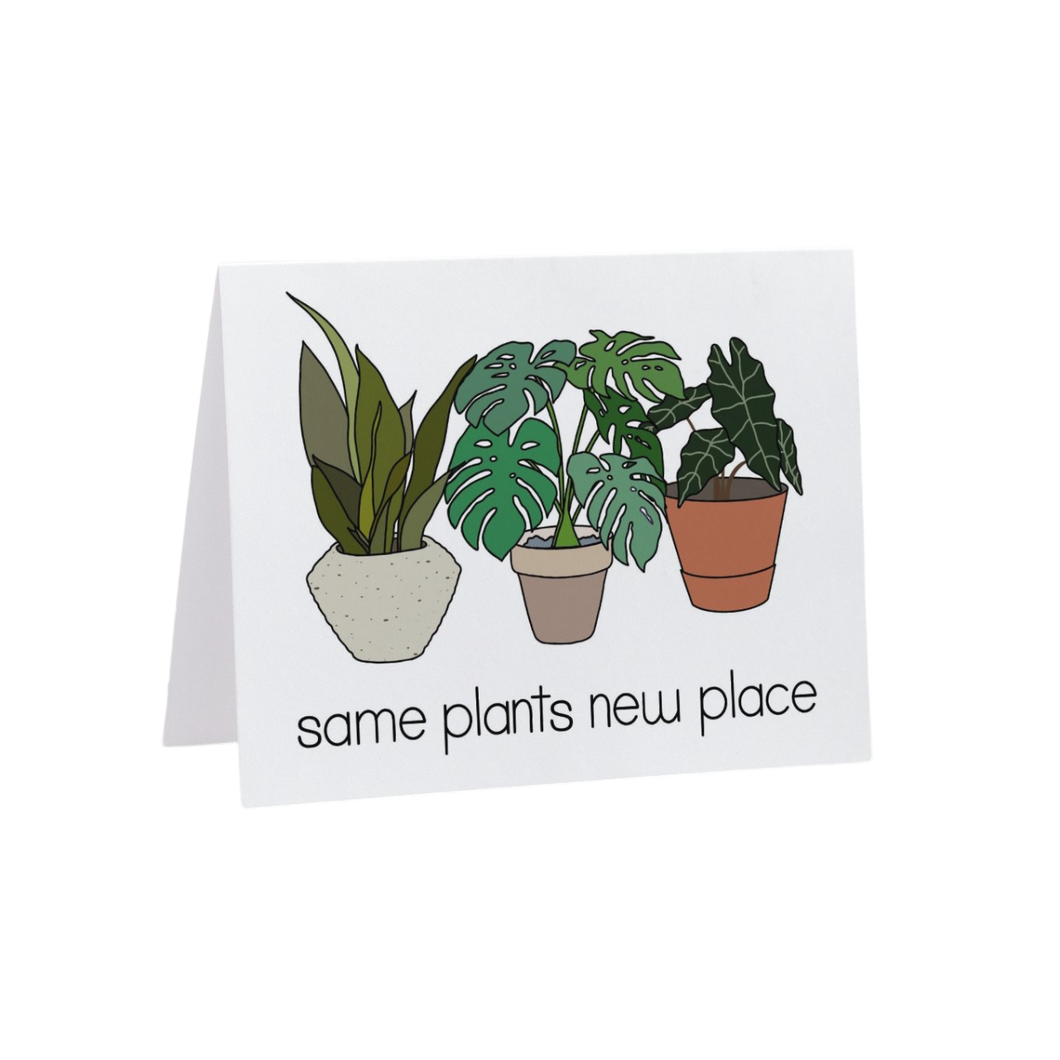 Same Plants New Place