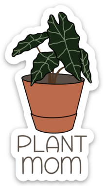 Plant Mom